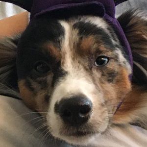 Meet your Posher, Jordan